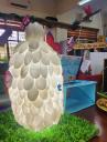 Stem- đèn lồng kén bướm.jpg - 