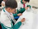 hs hoạt động nhóm.jpg - 