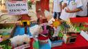 Stem 7B3.jpg - 